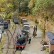 Morning goods at Lower Rose yard