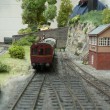 Auto train leaving trenance