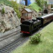 Local passenger train departing